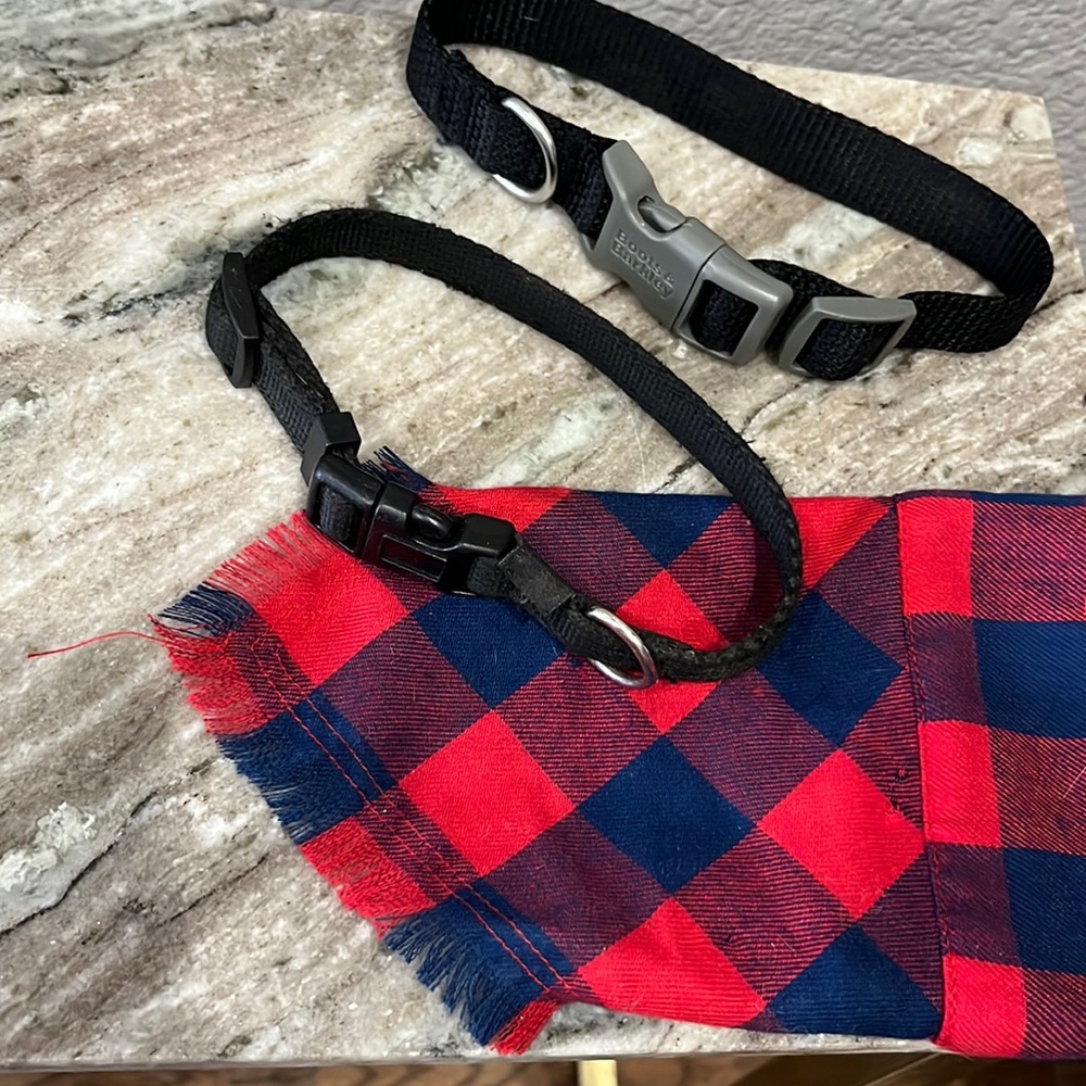 Puppy supplies